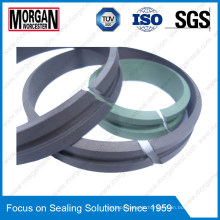 Fai Series Bearing Ring/Hydraulic Cylinder Rod Guide Ring Seal